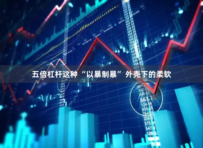 五倍杠杆这种 “以暴制暴” 外壳下的柔软