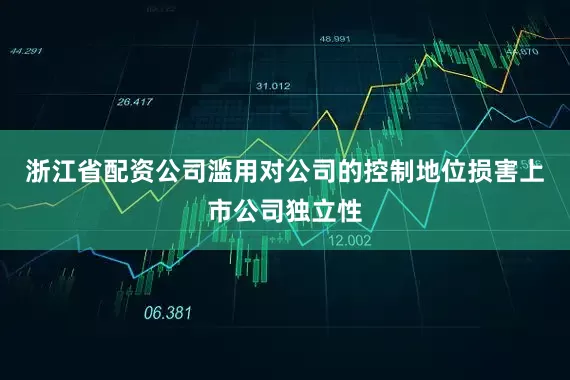 浙江省配资公司滥用对公司的控制地位损害上市公司独立性