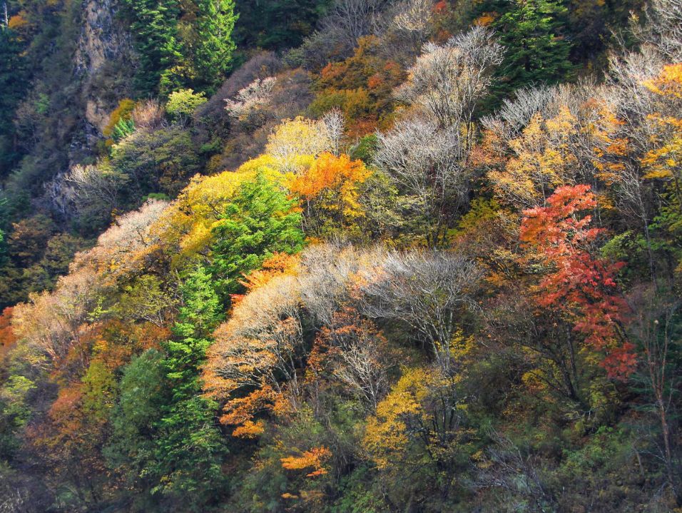 天進(jìn)儀器 天進(jìn)儀器