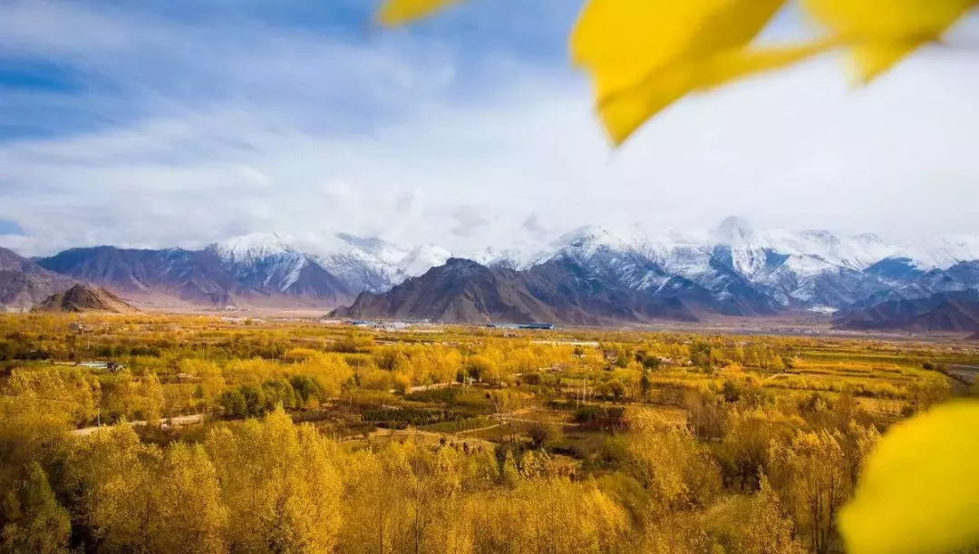 天進(jìn)儀器 天進(jìn)儀器