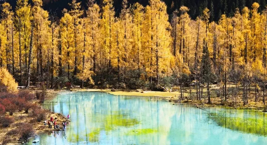 天進(jìn)儀器 天進(jìn)儀器