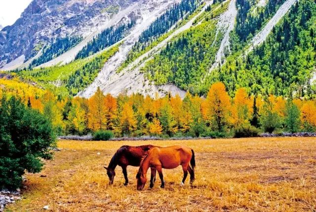 天進(jìn)儀器 天進(jìn)儀器