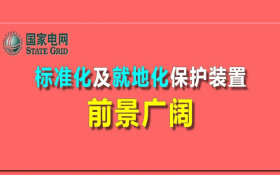 楊國(guó)生：標(biāo)準(zhǔn)化及就地化保護(hù)裝置前景廣闊